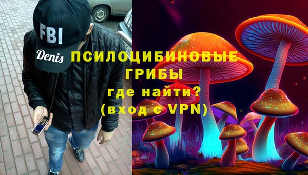 ешки Аркадак